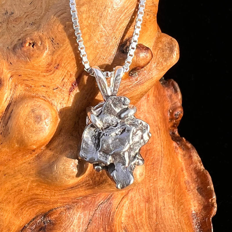 Campo Del Cielo Meteorite Pendant Sterling #7731-Moldavite Life