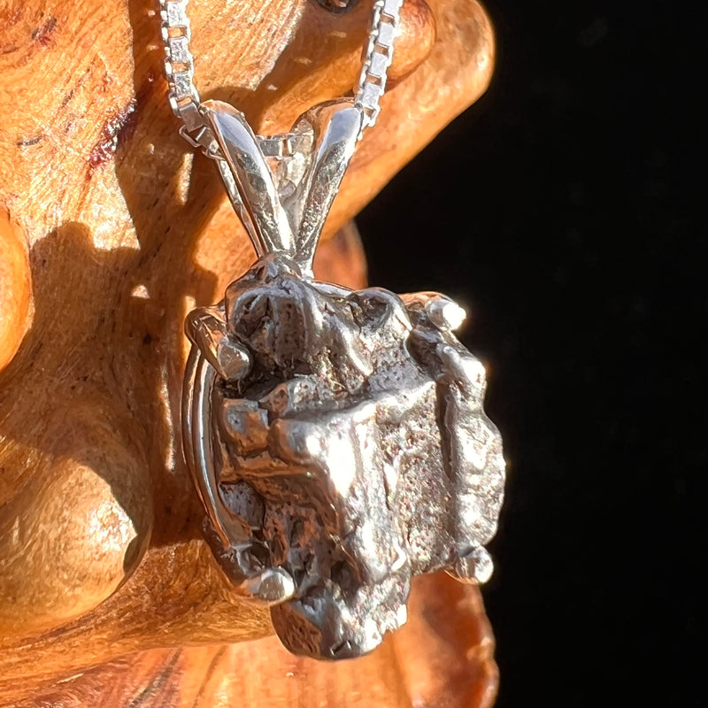 Campo Del Cielo Meteorite Pendant Sterling #7733-Moldavite Life