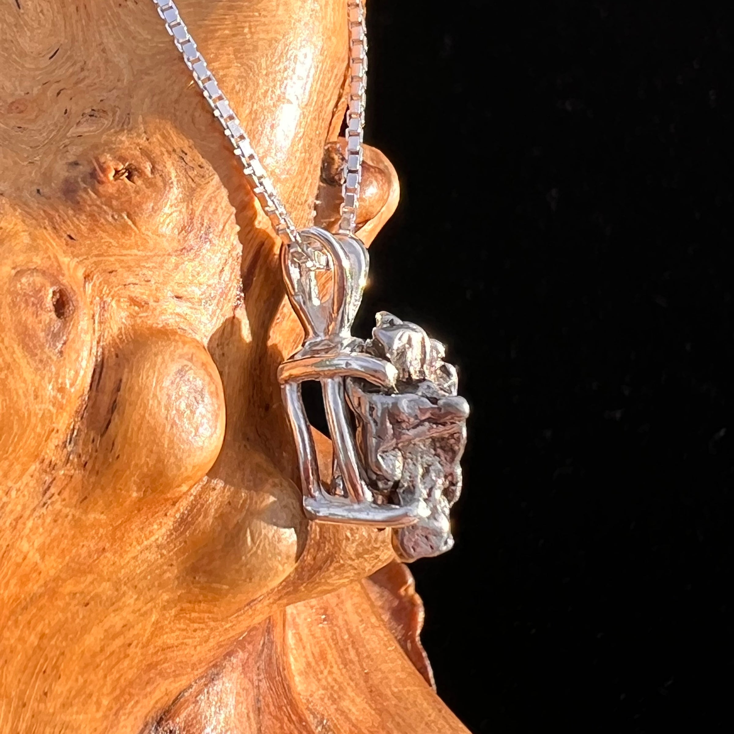 Campo Del Cielo Meteorite Pendant Sterling #7733-Moldavite Life