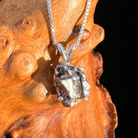 Campo Del Cielo Meteorite Pendant Sterling #7733-Moldavite Life