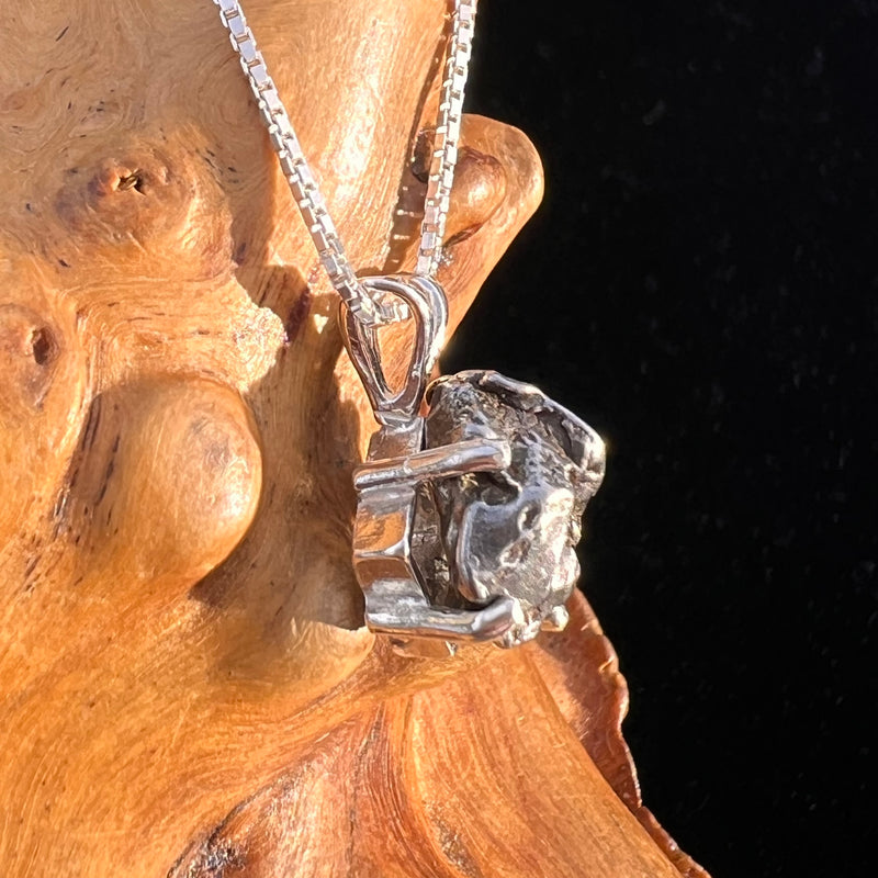 Campo Del Cielo Meteorite Pendant Sterling #7734-Moldavite Life