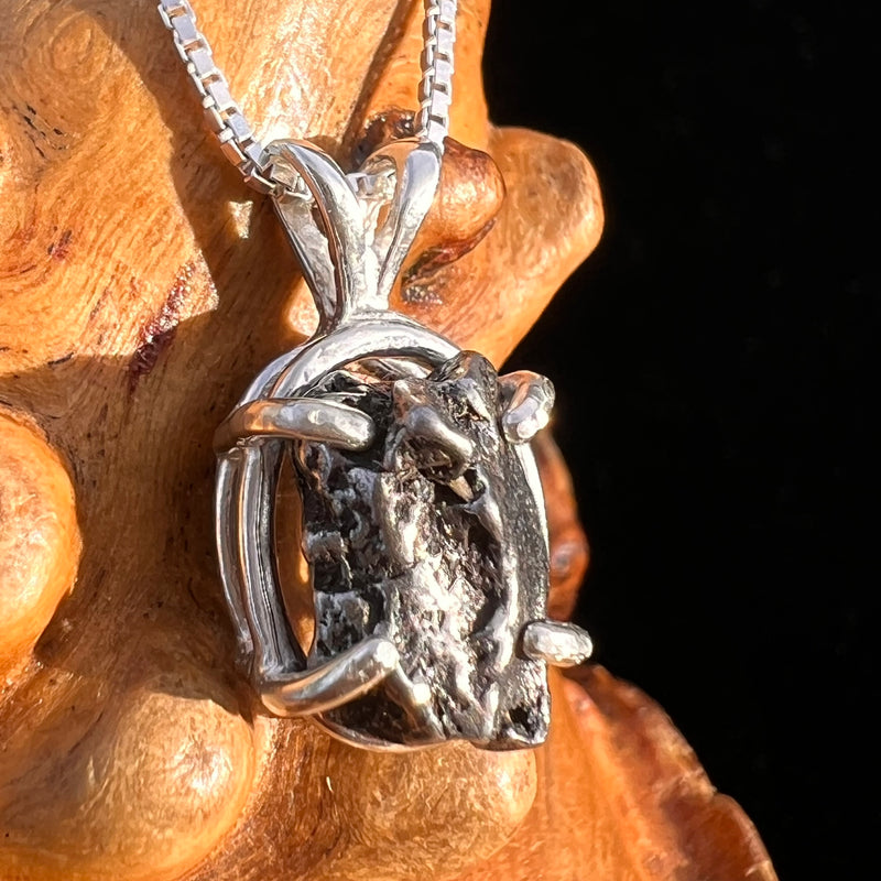 Campo Del Cielo Meteorite Pendant Sterling #7735-Moldavite Life