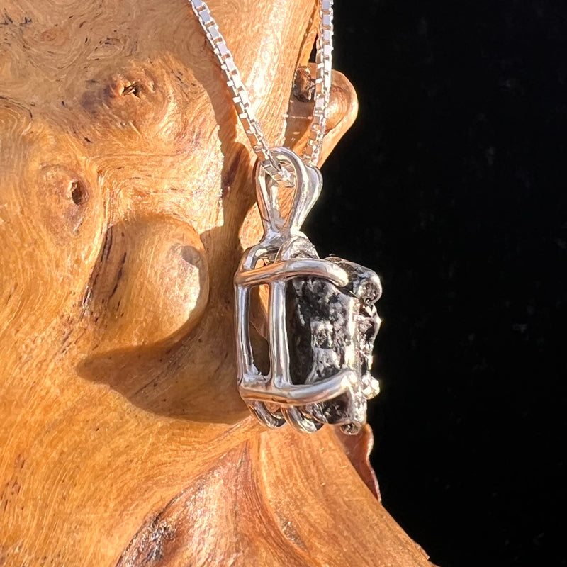 Campo Del Cielo Meteorite Pendant Sterling #7735-Moldavite Life