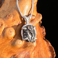 Campo Del Cielo Meteorite Pendant Sterling #7735-Moldavite Life