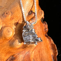 Campo Del Cielo Meteorite Pendant Sterling #7736-Moldavite Life
