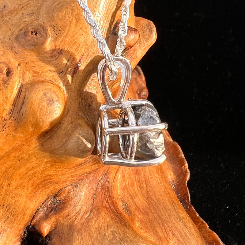 Campo Del Cielo Meteorite Pendant Sterling #7737-Moldavite Life