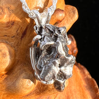 Campo Del Cielo Meteorite Pendant Sterling #7738-Moldavite Life