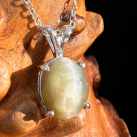 Cat's Eye Chrysoberyl Pendant Sterling #7782-Moldavite Life