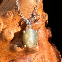 Cat's Eye Chrysoberyl Pendant Sterling #7782-Moldavite Life