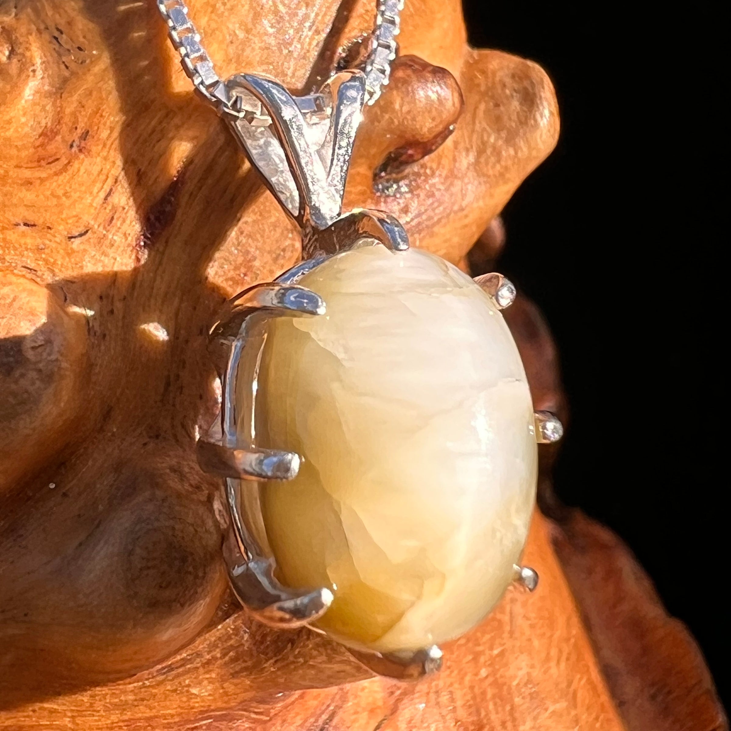 Cat's Eye Chrysoberyl Pendant Sterling #7786-Moldavite Life