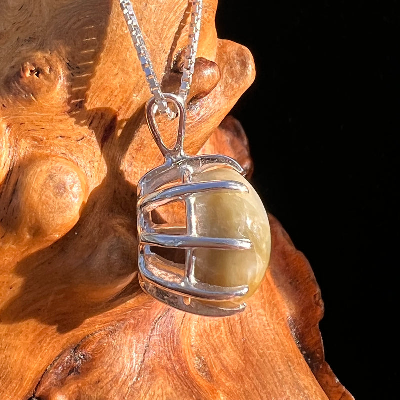 Cat's Eye Chrysoberyl Pendant Sterling #7786-Moldavite Life