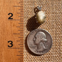 Cat's Eye Chrysoberyl Pendant Sterling #7786-Moldavite Life