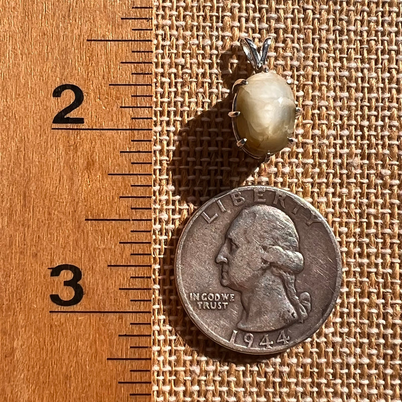 Cat's Eye Chrysoberyl Pendant Sterling #7786-Moldavite Life