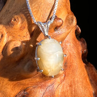 Cat's Eye Chrysoberyl Pendant Sterling #7786-Moldavite Life