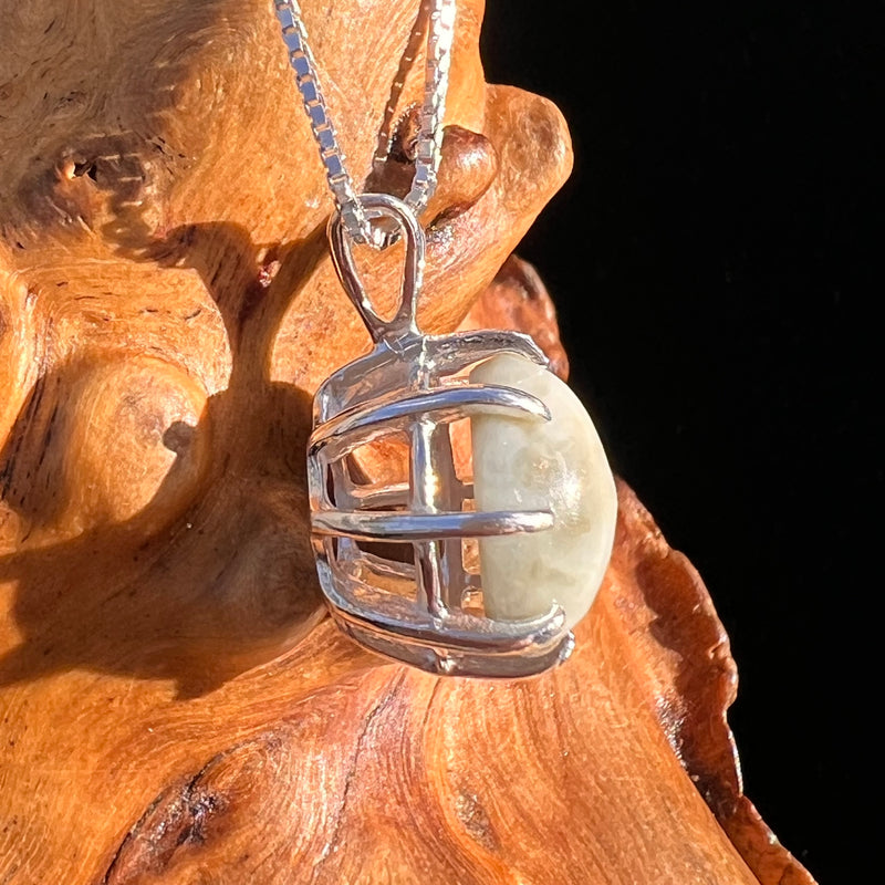 Cat's Eye Chrysoberyl Pendant Sterling #7787-Moldavite Life