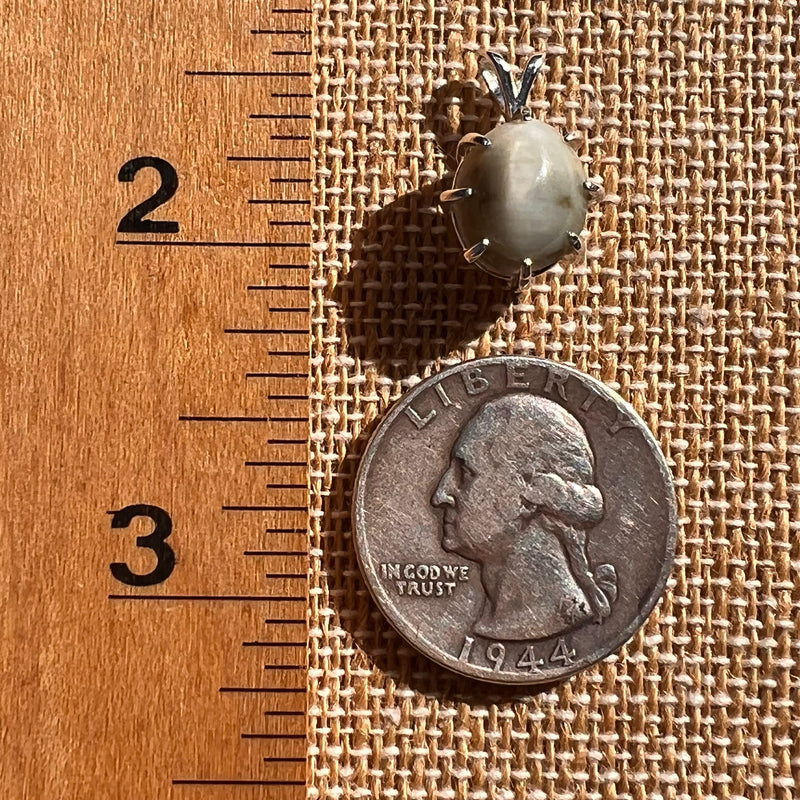 Cat's Eye Chrysoberyl Pendant Sterling #7787-Moldavite Life