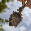 Colombianite & Moldavite Necklace Sterling Silver #5173-Moldavite Life