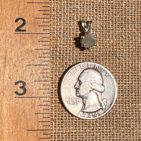 Colorado Phenakite Crystal Pendant Sterling #7089-Moldavite Life