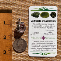 Double Terminated Amethyst & Moldavite Pendant Sterling #7627-Moldavite Life