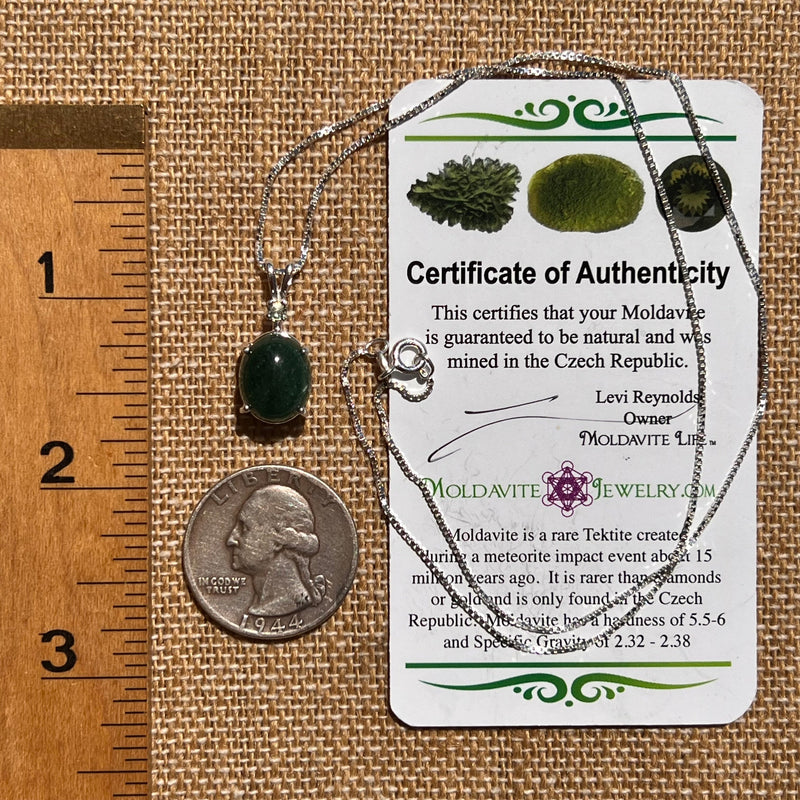 Green Aventurine & Moldavite Necklace Sterling #6632-Moldavite Life