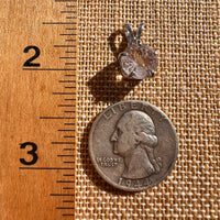 Harlequin Quartz Spider Pendant Sterling Silver #7794-Moldavite Life