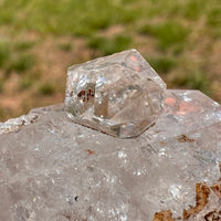 Herkimer Diamond Crystal NY, USA #44-Moldavite Life