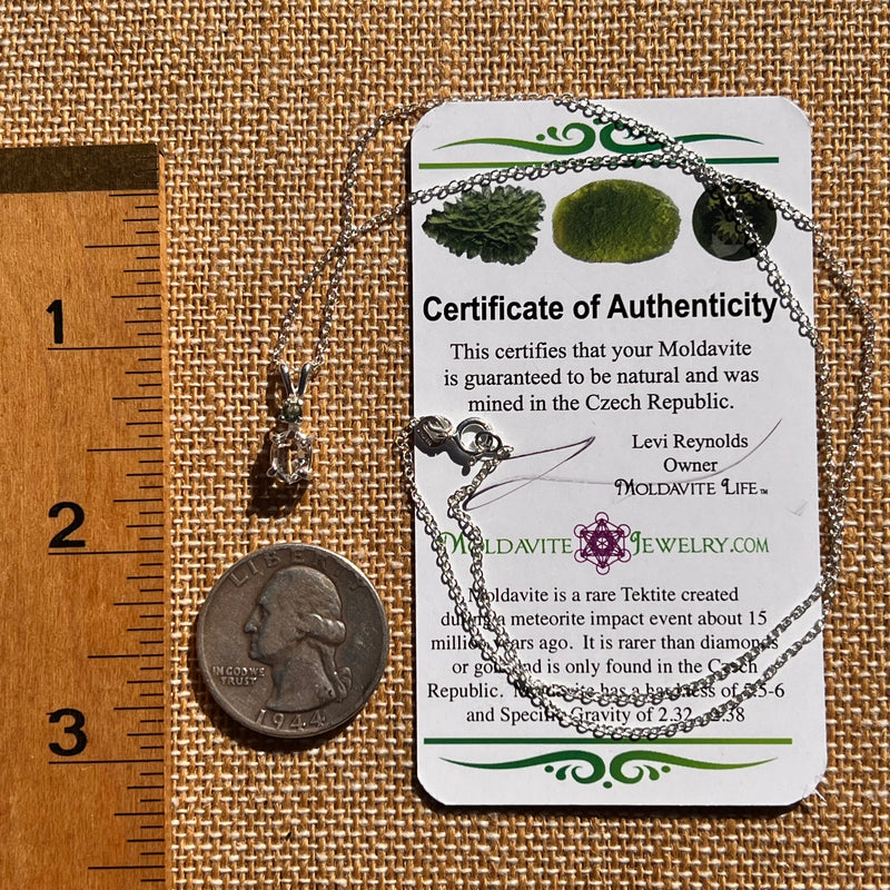 Herkimer Diamond & Moldavite Necklace Sterling #8014-Moldavite Life