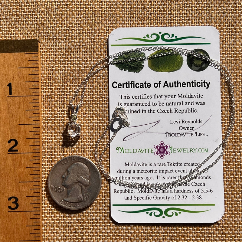Herkimer Diamond & Moldavite Necklace Sterling #8015-Moldavite Life