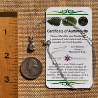 Herkimer Diamond & Moldavite Necklace Sterling #8016-Moldavite Life