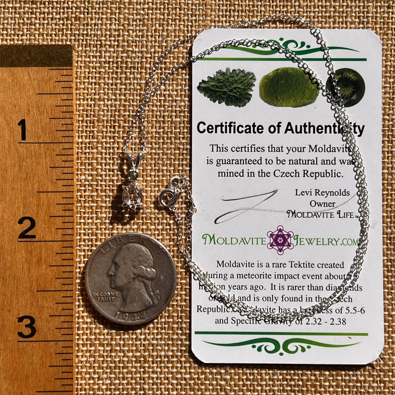 Herkimer Diamond & Moldavite Necklace Sterling #8017-Moldavite Life