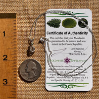 Herkimer Diamond & Moldavite Necklace Sterling #8018-Moldavite Life