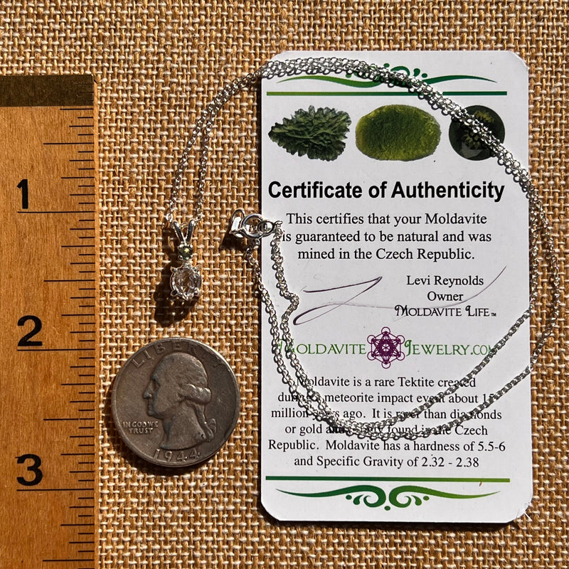 Herkimer Diamond & Moldavite Necklace Sterling #8018-Moldavite Life