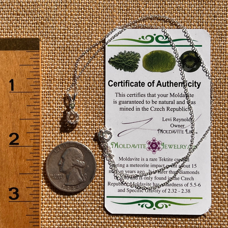 Herkimer Diamond & Moldavite Necklace Sterling #8019-Moldavite Life