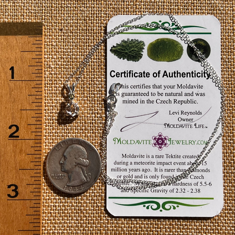 Herkimer Diamond & Moldavite Necklace Sterling #8024-Moldavite Life