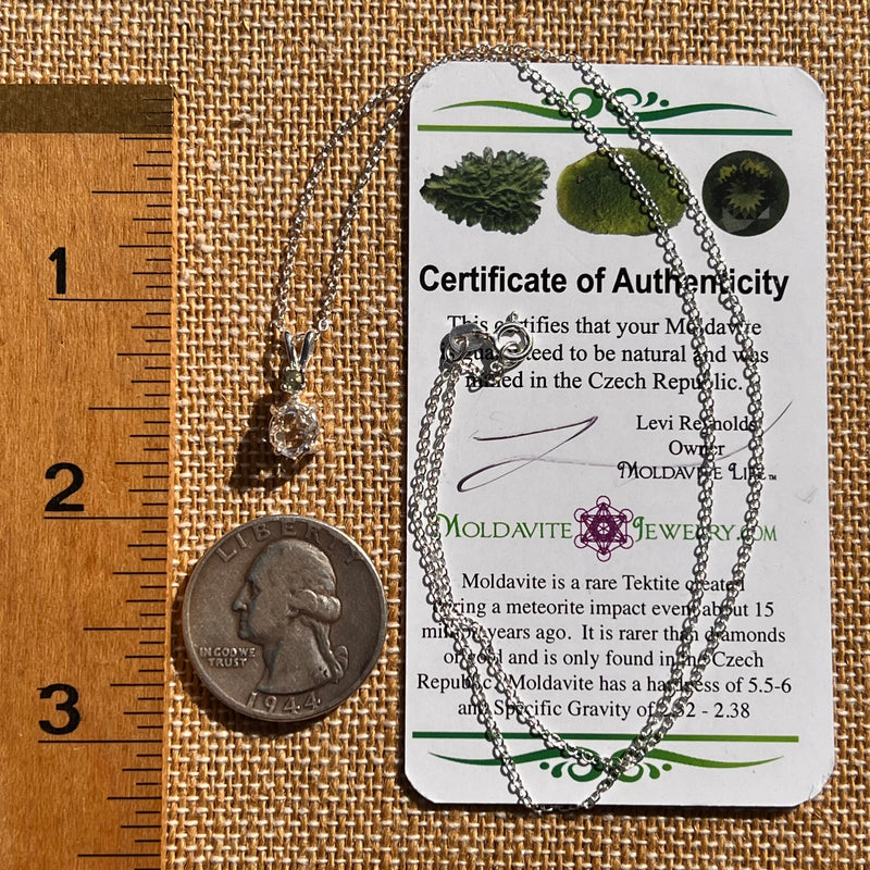 Herkimer Diamond & Moldavite Necklace Sterling #8026-Moldavite Life