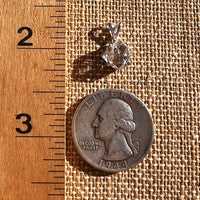 Herkimer Diamond Pendant Sterling Silver #7990-Moldavite Life