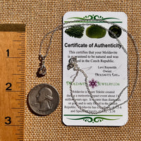 Herkimer Diamond & Moldavite Necklace Sterling #8177-Moldavite Life