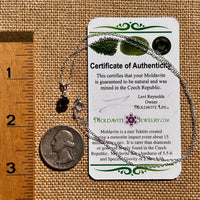 Black Garnet & Moldavite Necklace Sterling #8235-Moldavite Life
