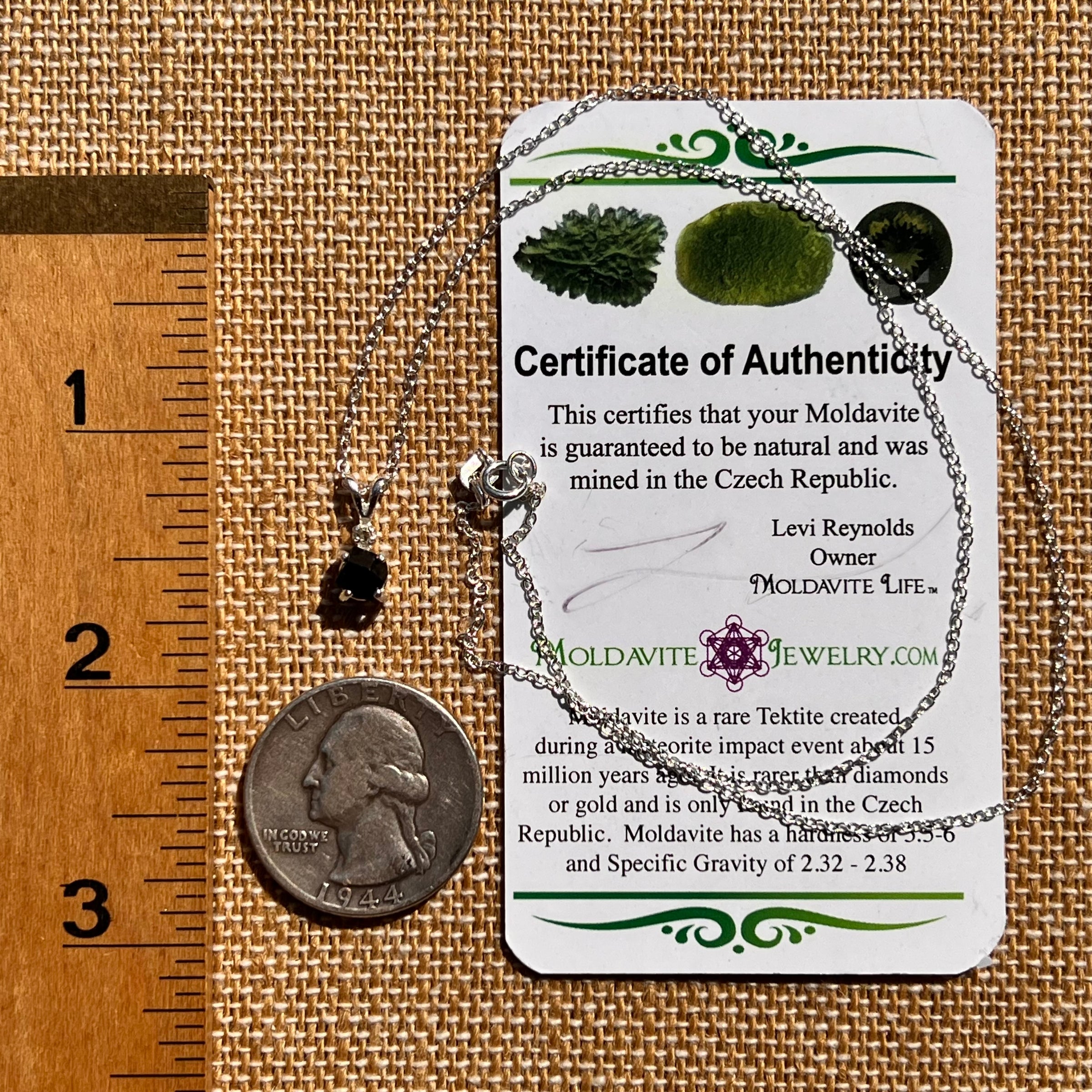 Black Garnet & Moldavite Necklace Sterling #8236-Moldavite Life