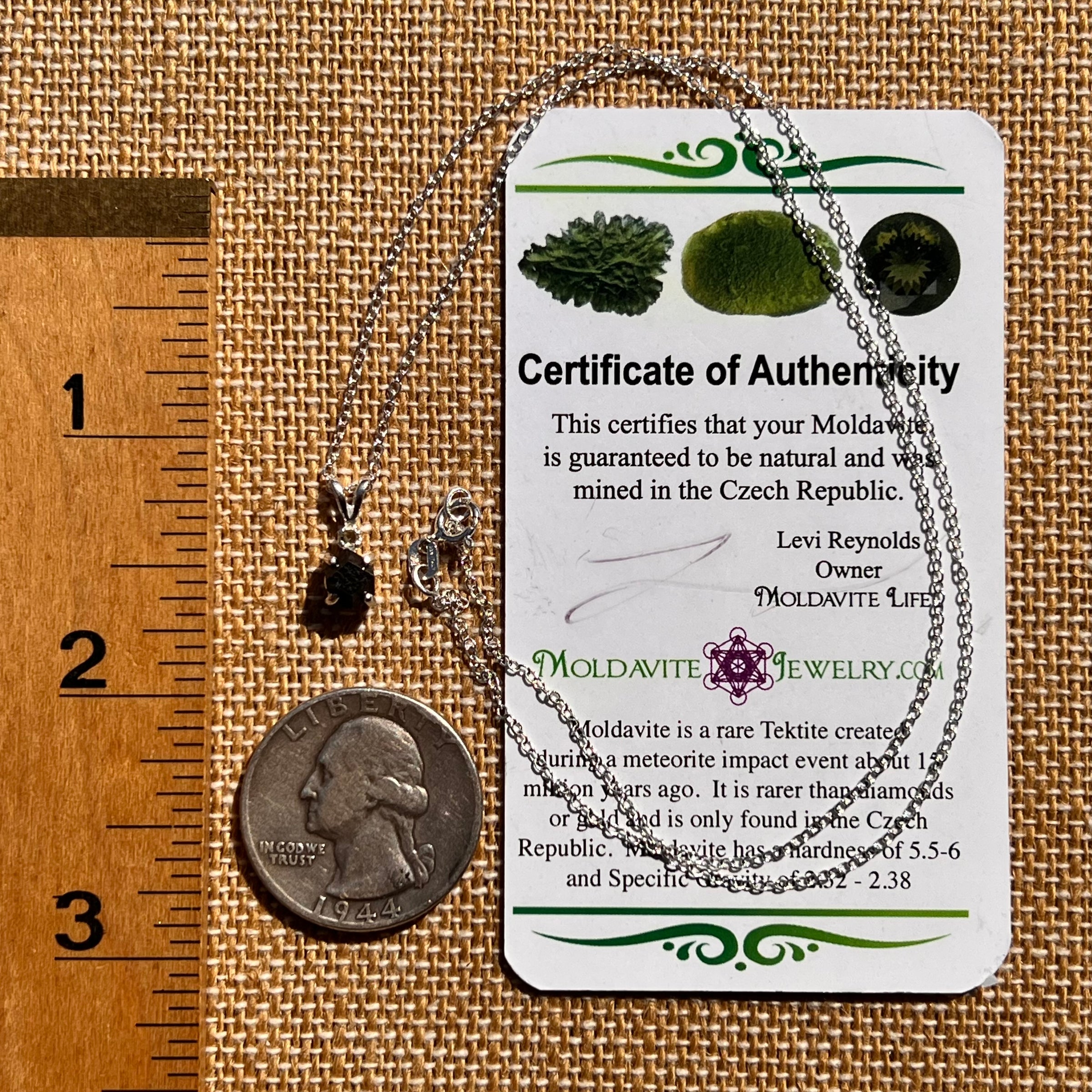 Black Garnet & Moldavite Necklace Sterling #8237-Moldavite Life