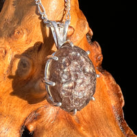 Raw Colombianite Pendant Sterling Silver #7148-Moldavite Life