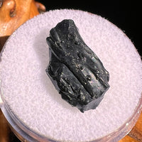 Irgizite Tektite #86
