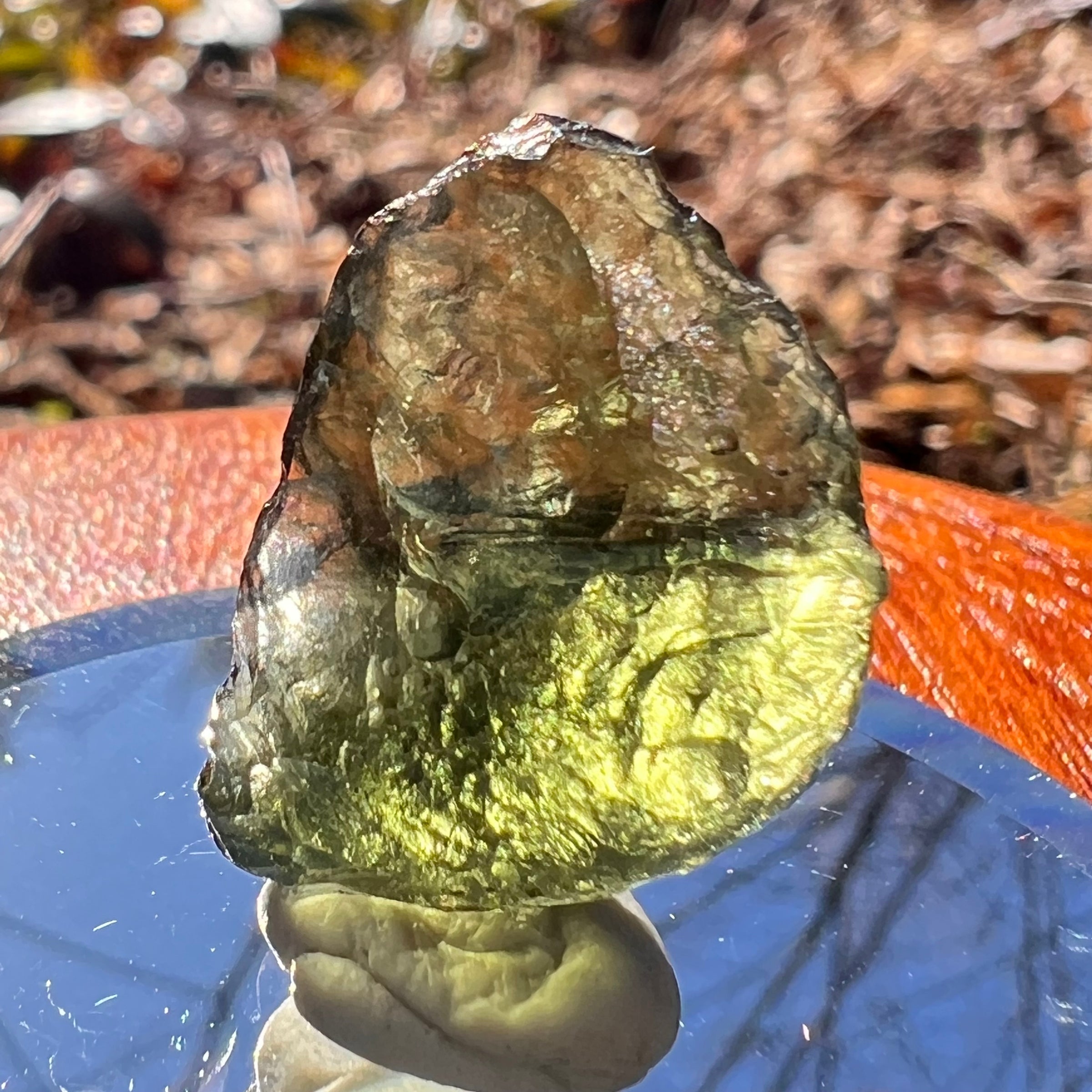 Moldavite 2.6 grams #1926