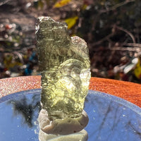 Moldavite 2 grams #1943