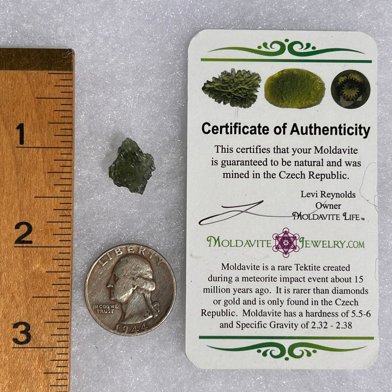 Moldavite 1.1 grams #1706-Moldavite Life
