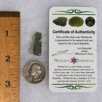 Moldavite 1.4 grams #1707-Moldavite Life
