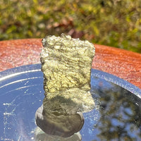 Moldavite 0.8 grams #1708-Moldavite Life