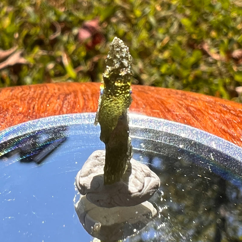 Moldavite 0.8 grams #1708-Moldavite Life