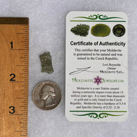 Moldavite 0.8 grams #1708-Moldavite Life