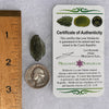 Moldavite 2.7 grams #1709-Moldavite Life